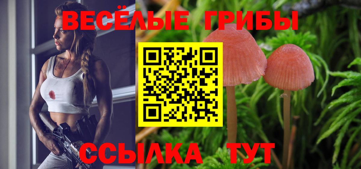 наркота  Галлюциногенные грибы мицелий  Галлюциногенные грибы Psilocybine cubensis  Вход с VPN  Можга 